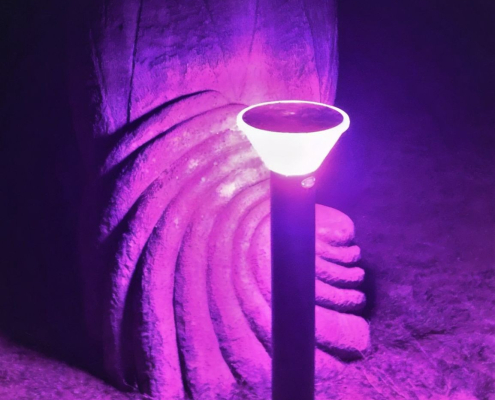 mauve coloured solar bollard