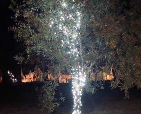 solar fairy lights