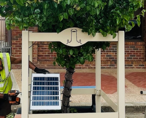 installing solar fairy lights