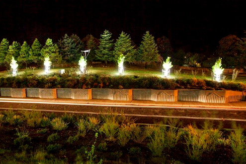 solar lighting of trees near Jindabyne