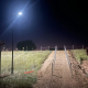 Park lighting by the Bogan River NSW